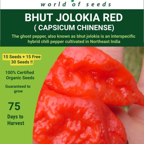 Bhut Jolokia Red Chilli Seeds