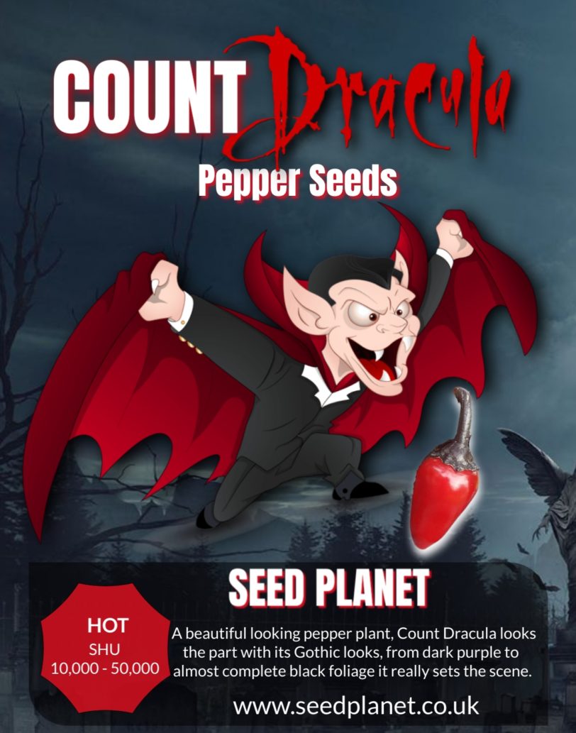 Count Dracula Chilli Seeds